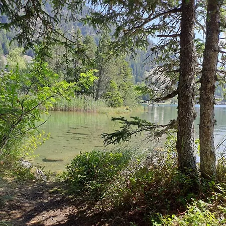 Veni- Vidi- Mansi By Interhome Chalet Champex-Lac